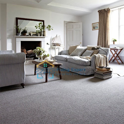 Best Living Room Carpet