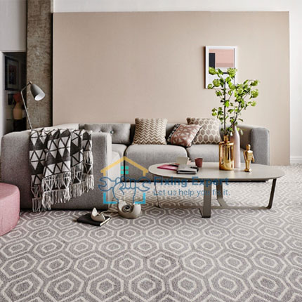 Best Living Room Carpet