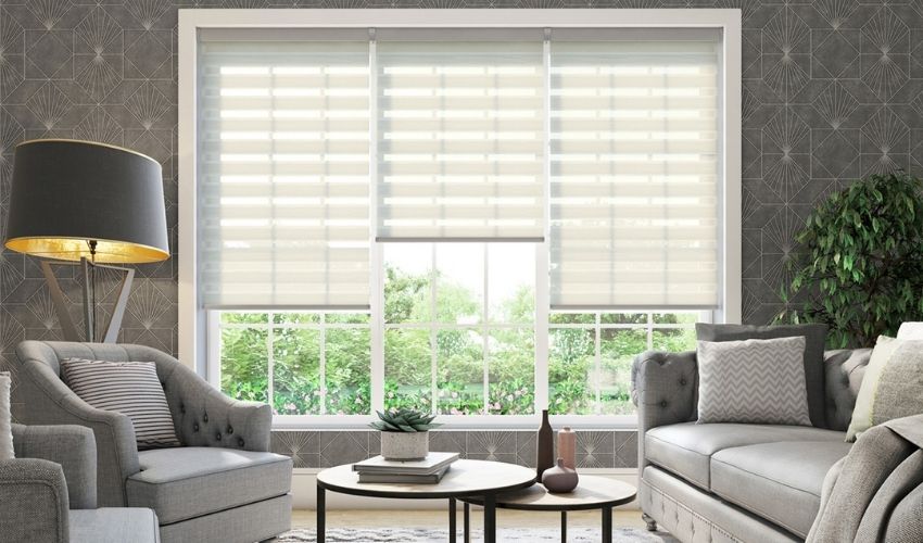 Duo Vision Blinds