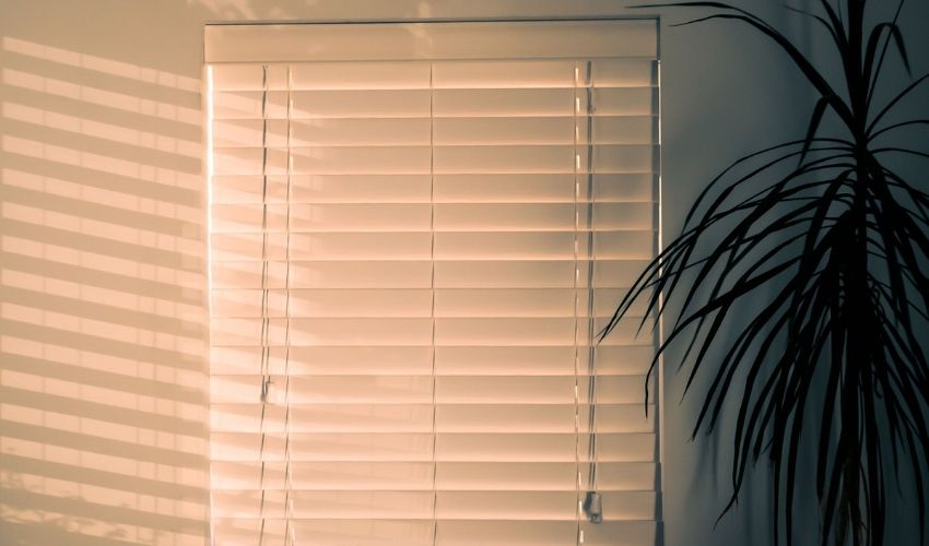 Lower the Window Blinds