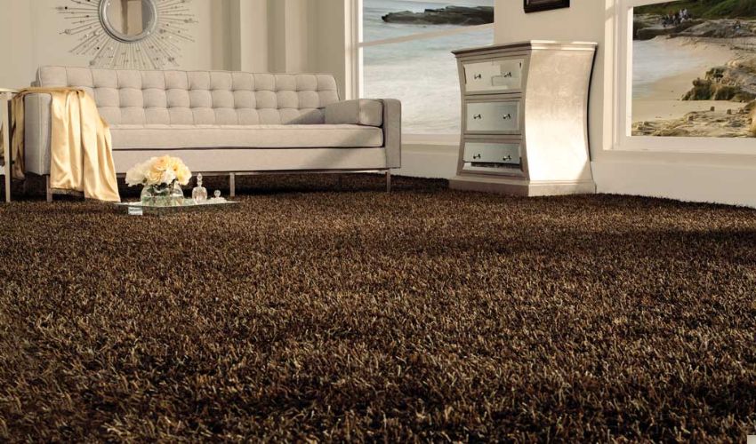 Choosing The Best Carpet Color