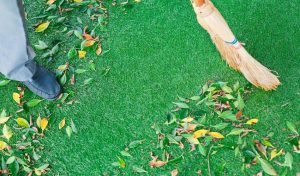Clean And Maintain Artificial Grass