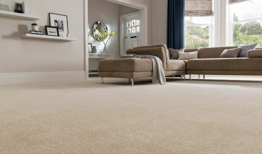 Modern for carpet