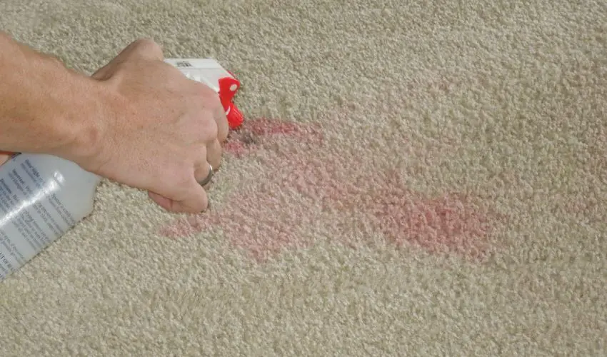 Removing stain with ammonia Removing stain with ammonia