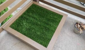Top 10 Artificial Grass for Dog Potty