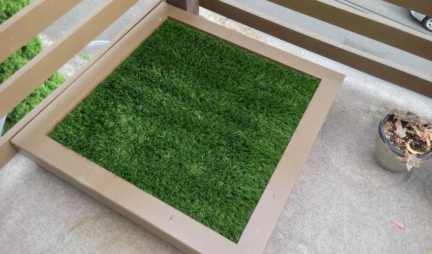 Top 10 Artificial Grass For Dog Potty Reviews Guide