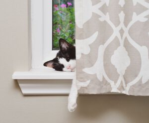 synthetic fiber cat proof curtains