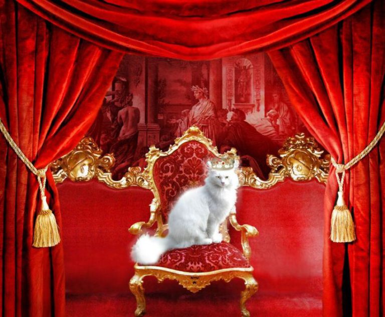 5 Best Cat Proof Curtains 2024 Furry Friend's Claw Proof