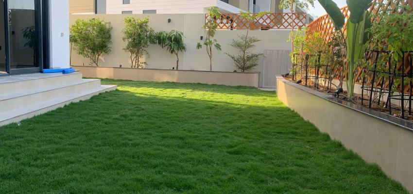 Make An Informed Decision Artificial vs Natural Grass