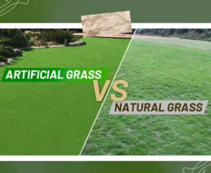 artificial grass vs natural grass featured