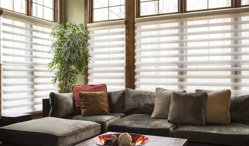 Choosing the Right Day Blinds for Your Home