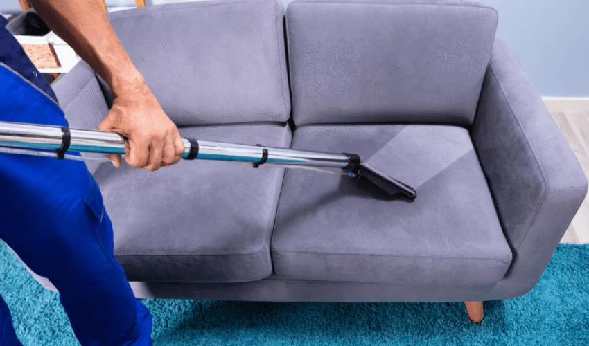 When Should You Call Professional Upholstery Cleaners