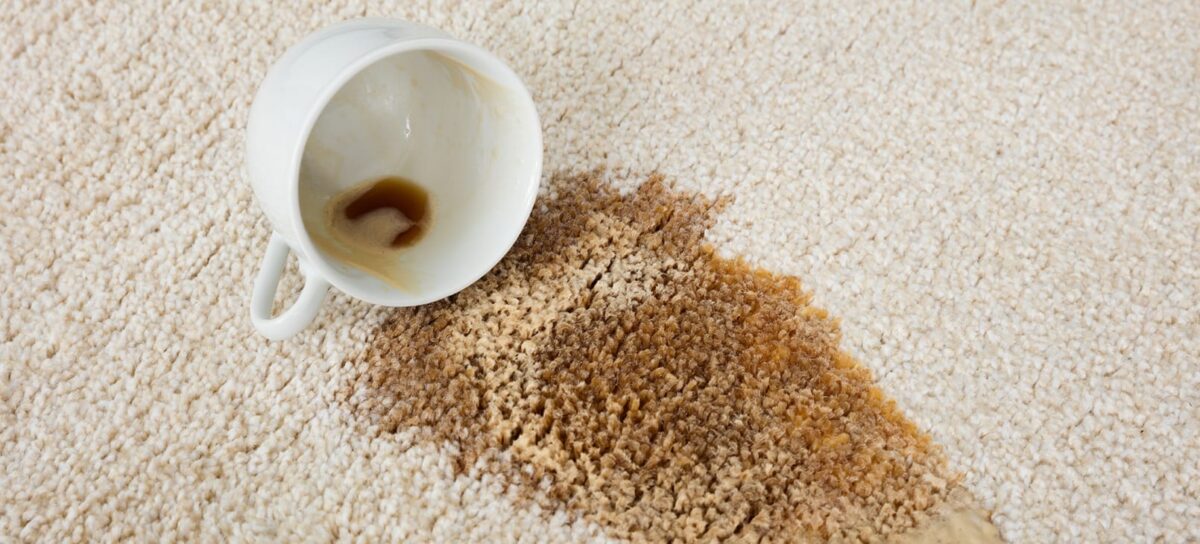 How To Get Coffee Out Of The Carpet - Get Expert Guide 2025