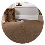 Brown Carpets Dubai
