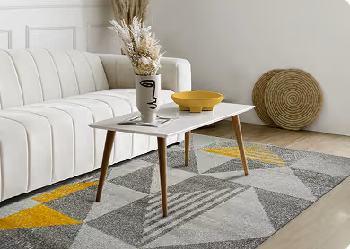 Luxury Living room Carpets in Dubai