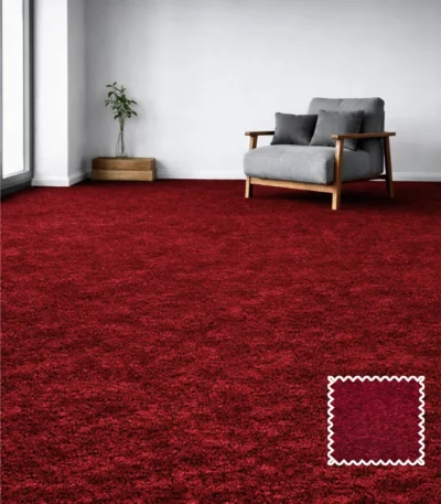 Red Carpets