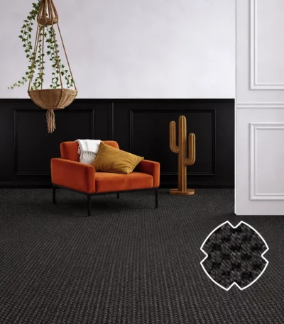 Sisal Carpets