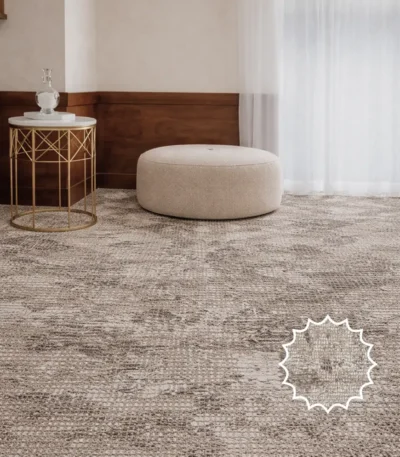 Wall to Walll Carpets
