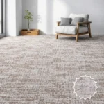 Wall to Walll Carpet