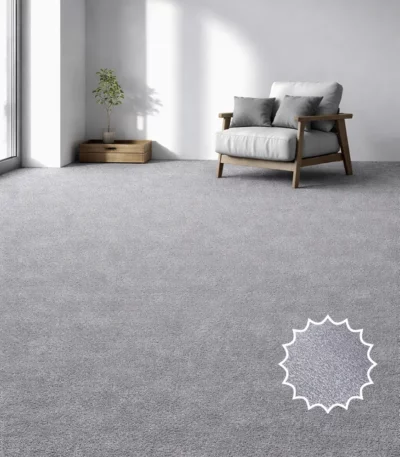Wall to Wall Carpet