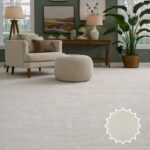 Wall to Wall Carpet