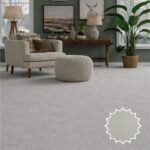 Wall to Wall Carpet