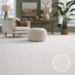 Wall to Wall Carpet