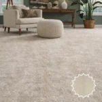 Wall to Wall Carpet