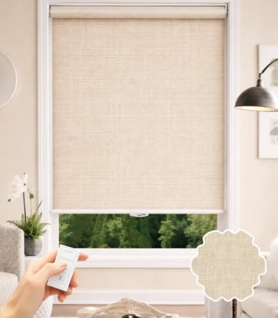 motorized blinds
