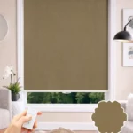 motorized blinds