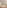 wooden blinds