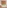 wooden blinds