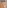Sports Flooring