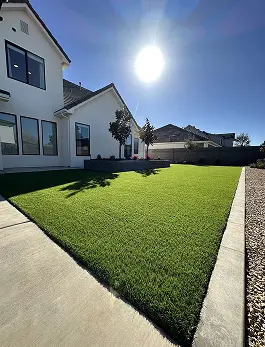 low maintenance lawn Dubai