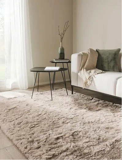shaggy rugs for living room
