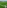 Artificial Grass