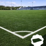 Artificial Grass