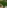 Artificial Grass
