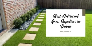 Best Artificial Grass Suppliers in Dubai - Fixing Expert